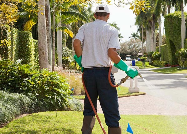 About Brier Hill NY Pest Control Pros